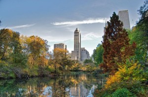 Central Park Central Park