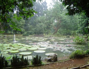 Jardín Botánico de Brooklyn Jardín Botánico de Brooklyn