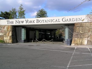 Jardín Botánico de Nueva York Jardín Botánico de Nueva York