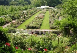 The Brooklyn Botanic Garden The Brooklyn Botanic Garden