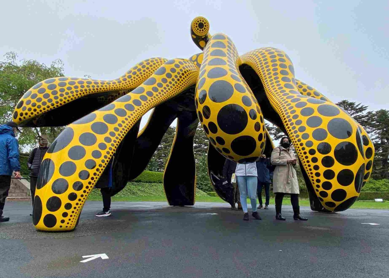 Jardín Botánico de Nueva York (New York Botanical Garden) | Turismo