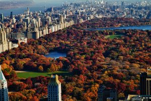 Vista aérea de Central Park en Otoño