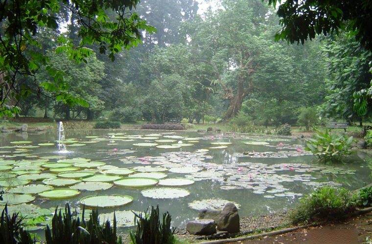 Jardín Botánico de Brooklyn