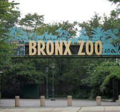 Parque Zoológico del Bronx