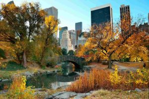 Visitar Nueva York en noviembre