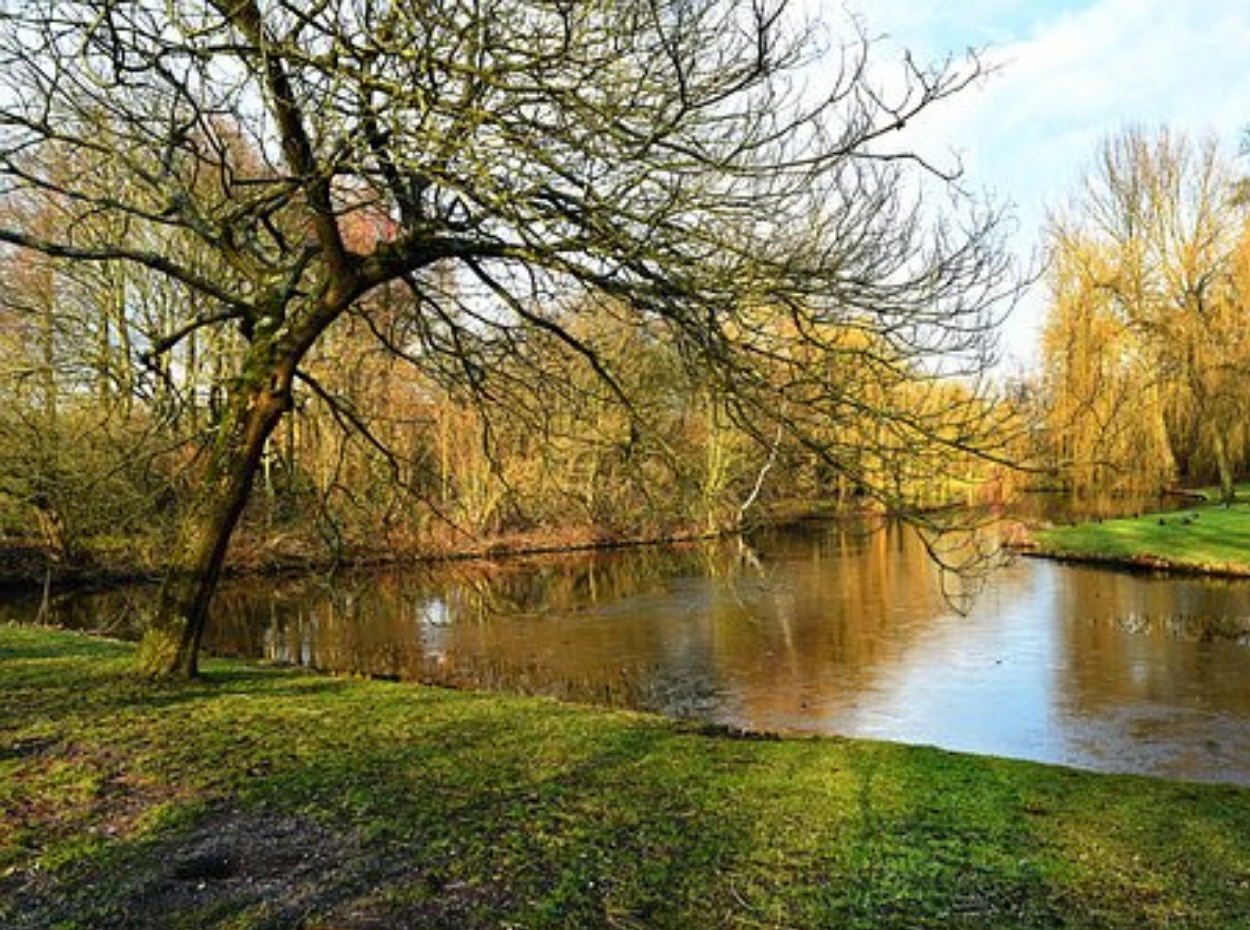 Prospect Park Cómo llegar y qué ver Turismo Nueva York
