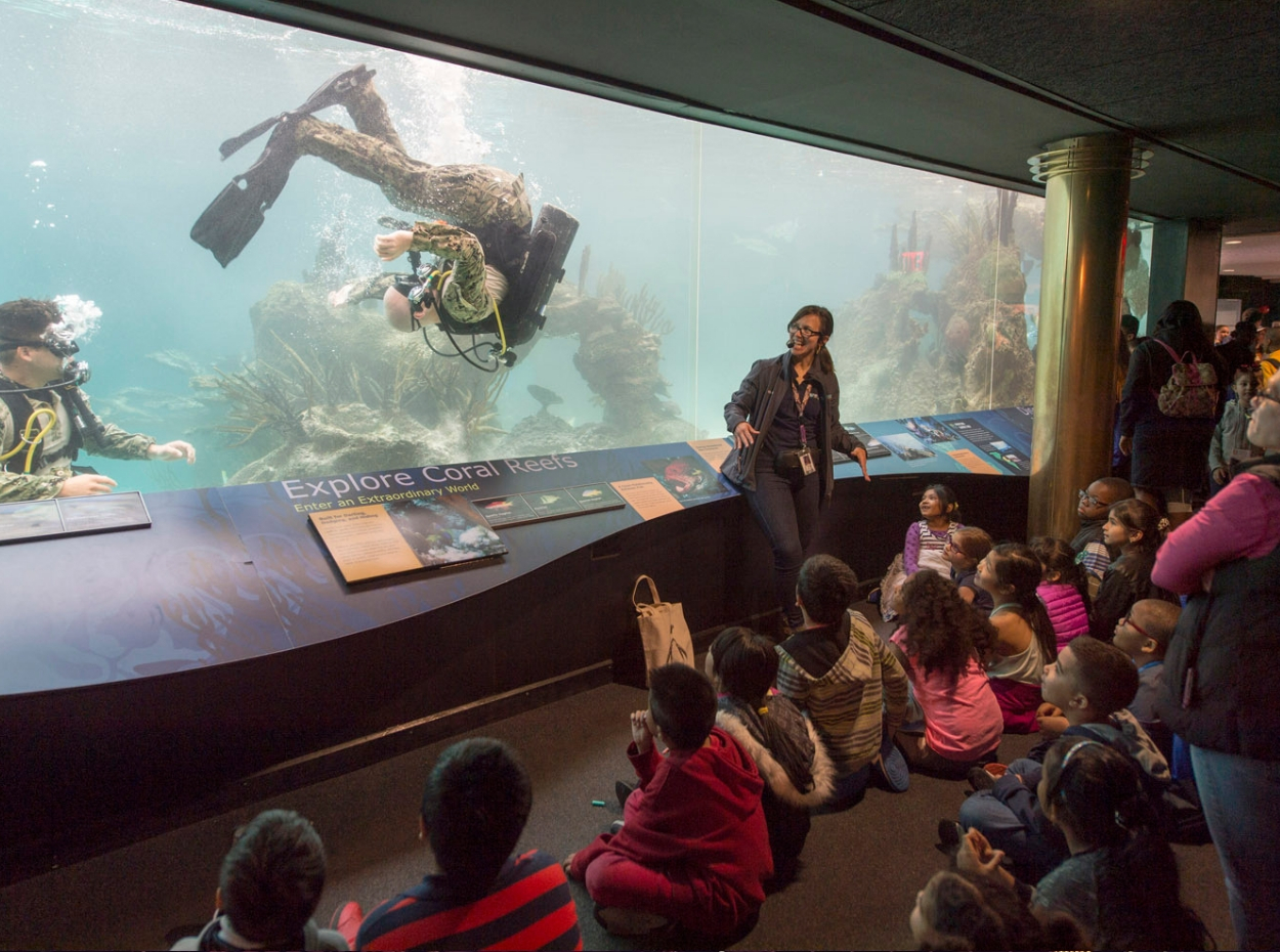 Acuario de Nueva York (New York Aquarium) Turismo Nueva York