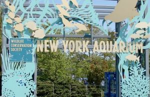 Acuario de Nueva York