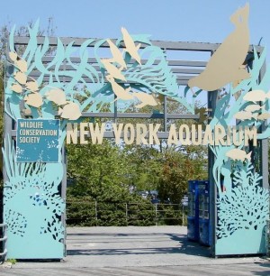 Acuario de Nueva York