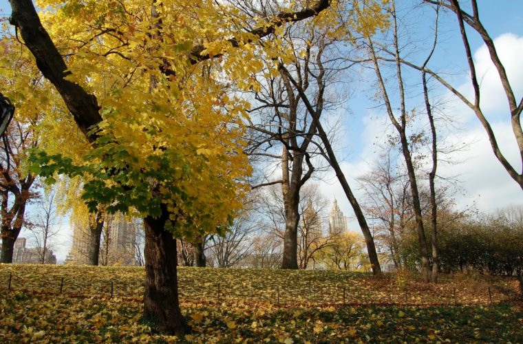 Otoño en Estados Unidos 2023 ¿cuándo comienza y qué día se, otono 2023