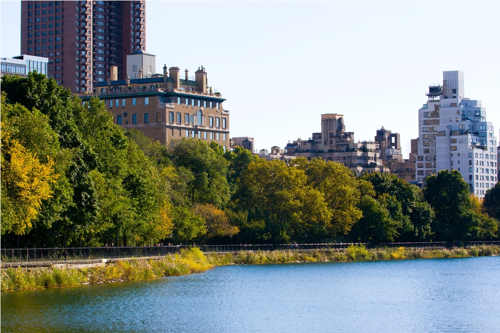 temperatura de nueva york en noviembre
