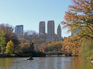 central park new york